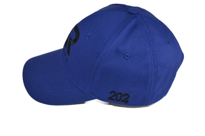 blue color Newsboy Cap